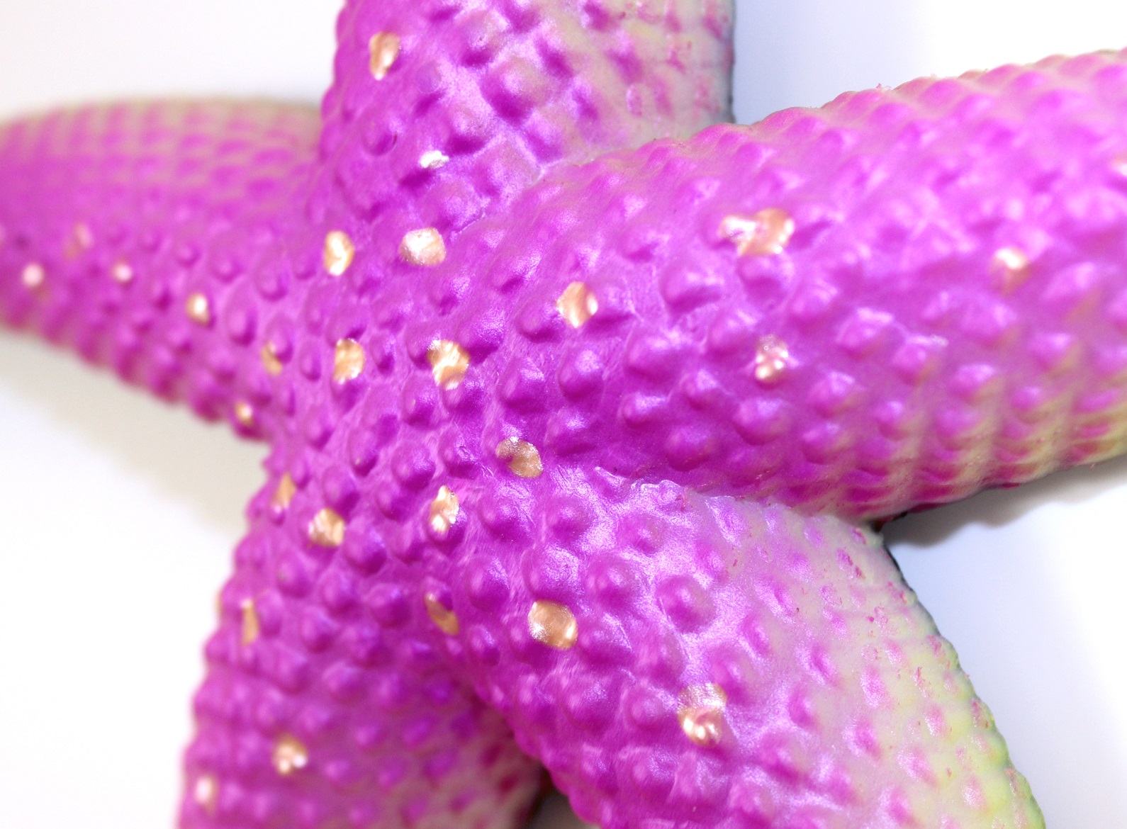 Sea Star Pink Starfish Wall Decor 9 Inch Resin Plaque Mary B