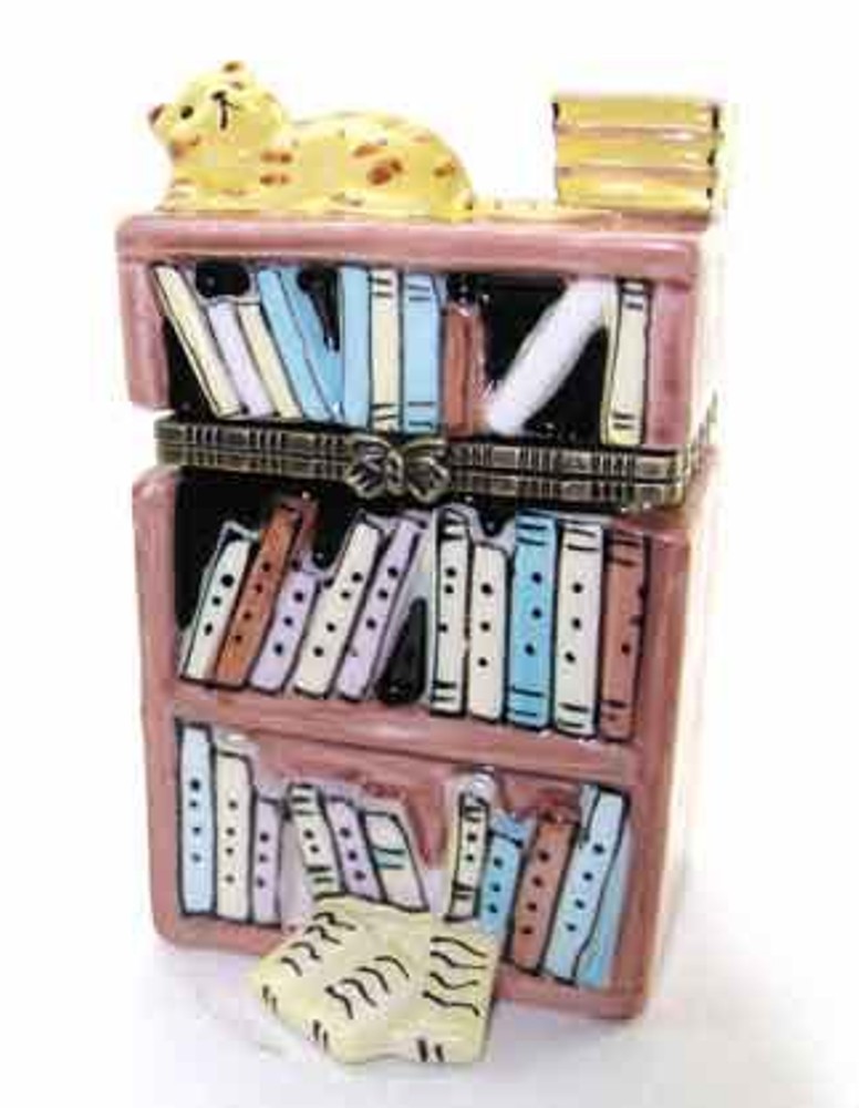 Bookcase Sleeping Cat Kitten Hinged Trinket Box Mary B Decorative Art