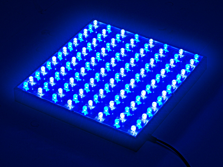 4 pack Lot of White Blue 5mm LED Aquarium Grow Light Panel