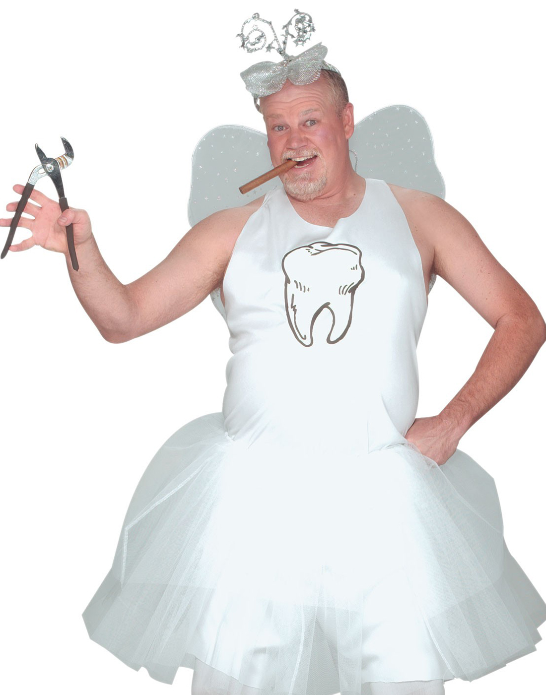Tooth Fairy Funny Mascot TuTu Fairytale Mens Stag/Hens Halloween
