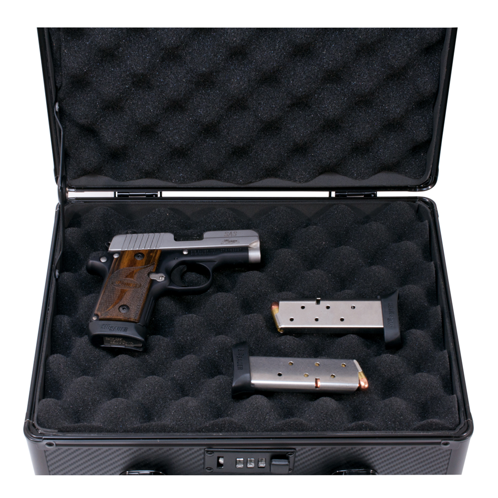 Carbon Fiber Double Sided Hand Gun 2 Lock Case Pistol Security Box Hard Storage eBay