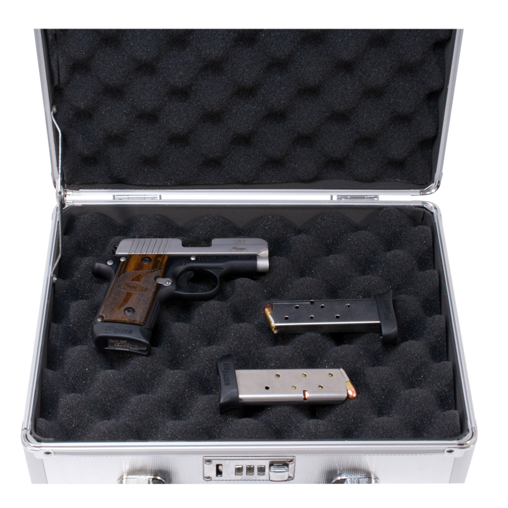 Silver Double Sided Hand Gun Lock Case Pistol Security Box Airsoft Hard