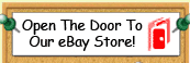 eBay Store