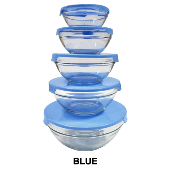 10 Piece Decorative BPAFree Glass Storage Nesting Bowl Set with Clip