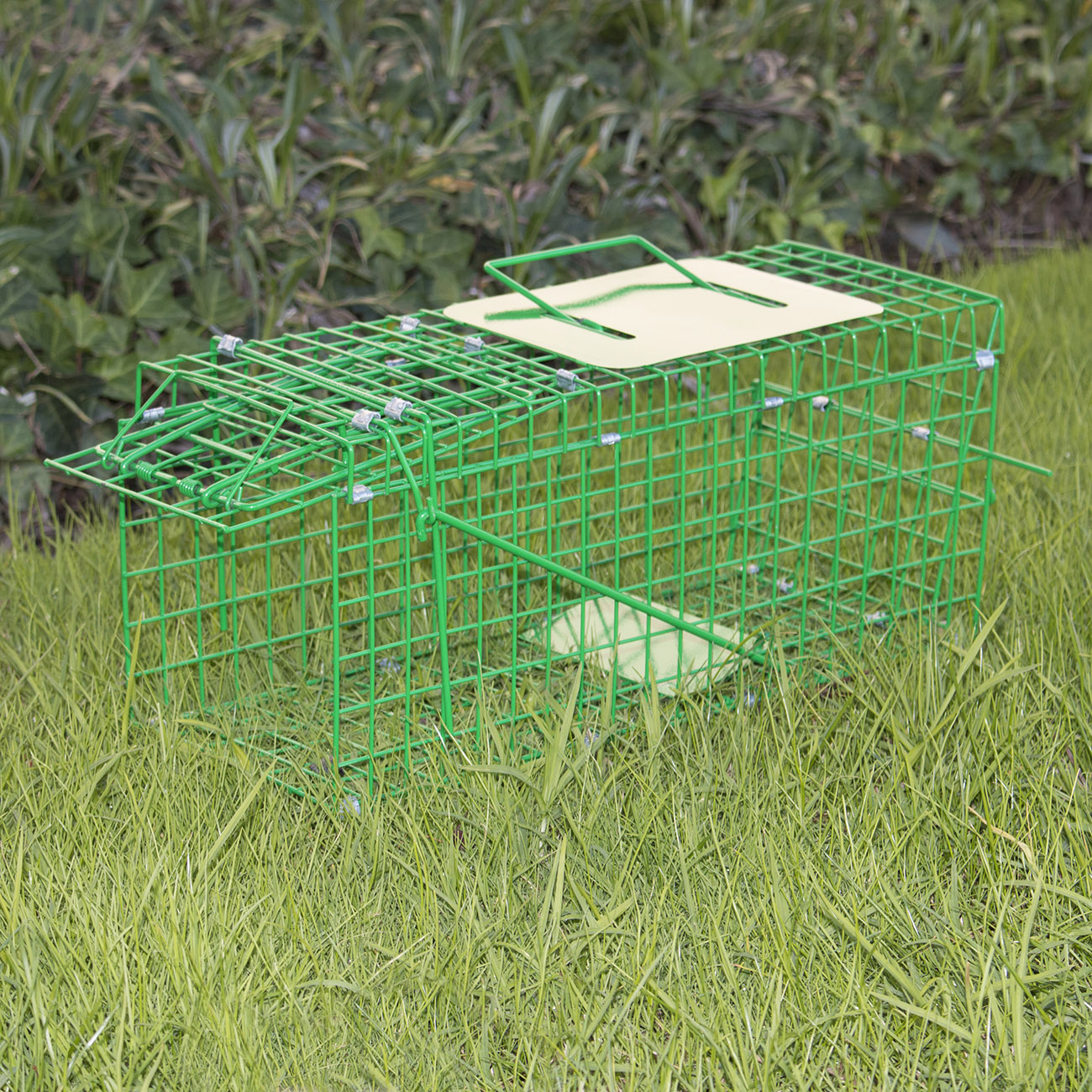 Animal Trap Cage Raccoon Skunk Possum Rabbit Humane for Pest Control 16