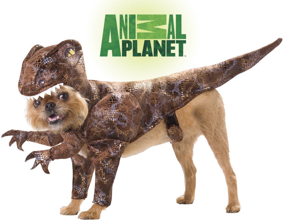 Funny Pet Dog Animal Dinosaur Fancy Dress Raptor Costume XS eBay