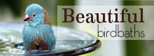 beautiful birdbaths always the lowest price