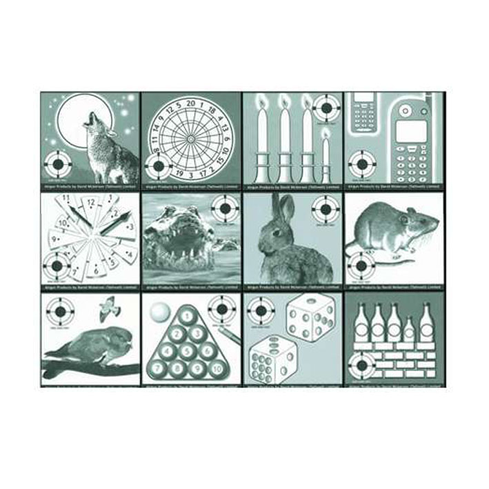 NICKERSON AIR PISTOL RIFLE 120 NOVELTY FUN TARGET FACES eBay