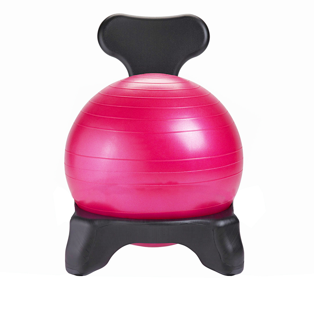 LiveUp Exercise Home Yoga Gym Fitness Balance Ball Chair Free Inflator