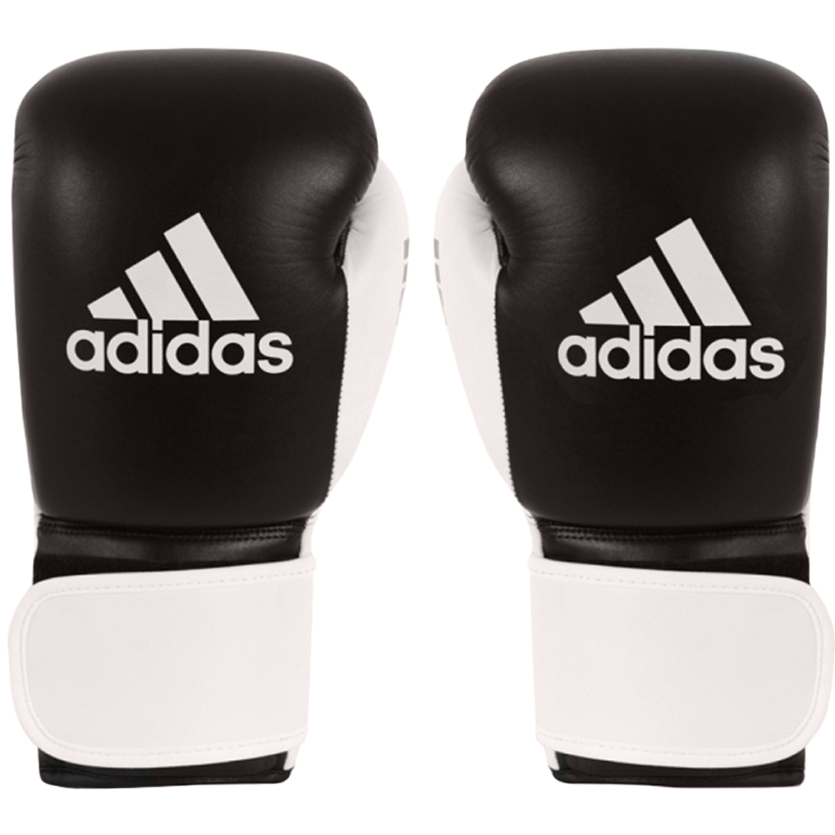 Adidas Glory Professional Hook and Loop Boxing Gloves eBay