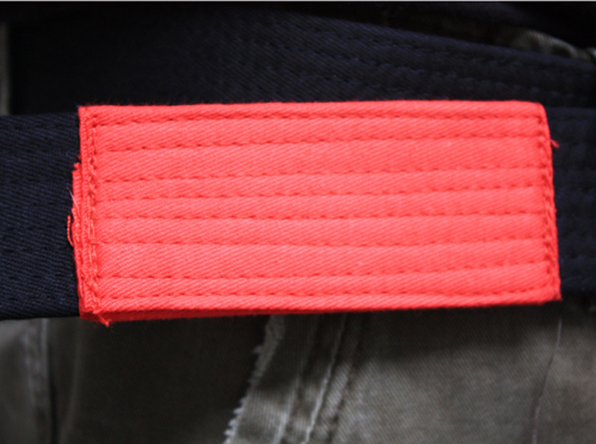 Gracie JiuJitsu Dress Belt eBay