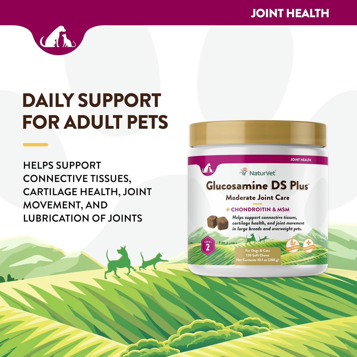 NATURVET GLUCOSAMINE DS Plus MSM and Chondroitin Soft Chews for Dogs