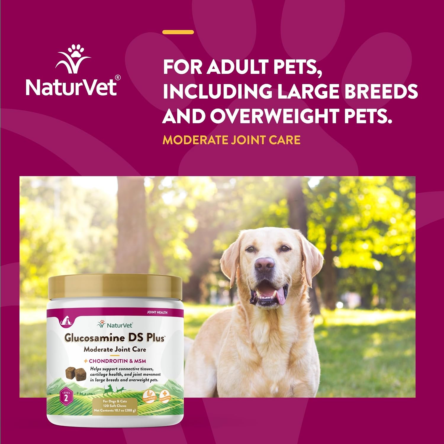 NATURVET GLUCOSAMINE DS Plus MSM and Chondroitin Soft Chews for Dogs