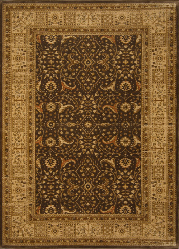 Oriental Brown Cream Area Rug 5X7 Border Persian 7710 Carpet Actual 5