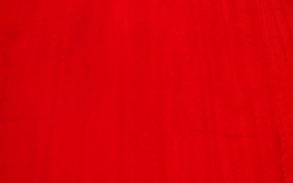 Red Bright Vibrant Monotone SingleColor Contemporary Area Rug Solid KD