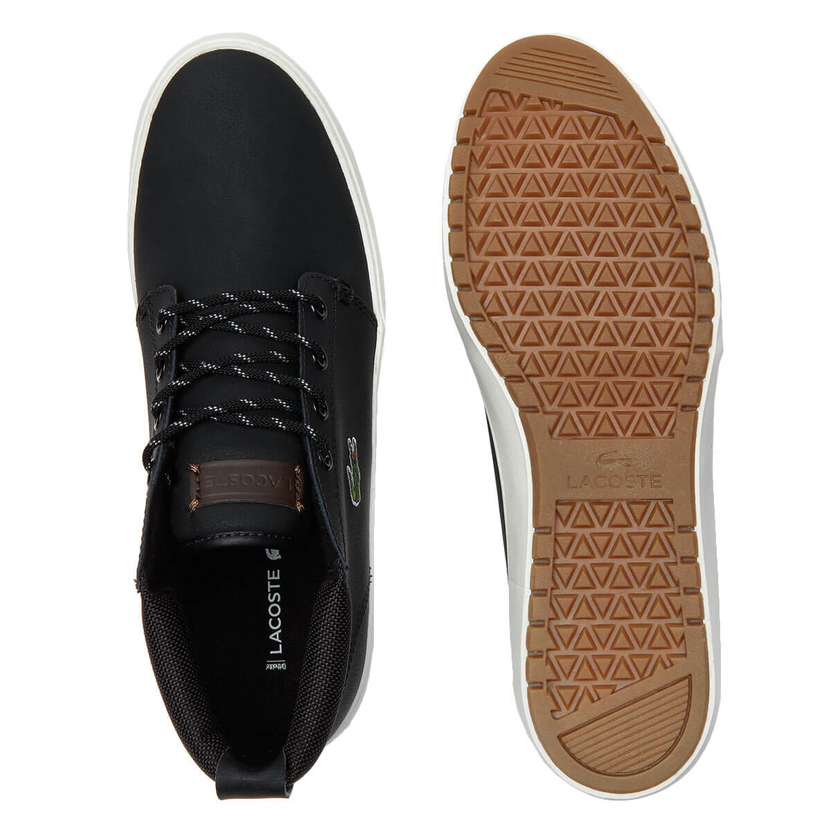 lacoste ampthill terra 319 1 cma