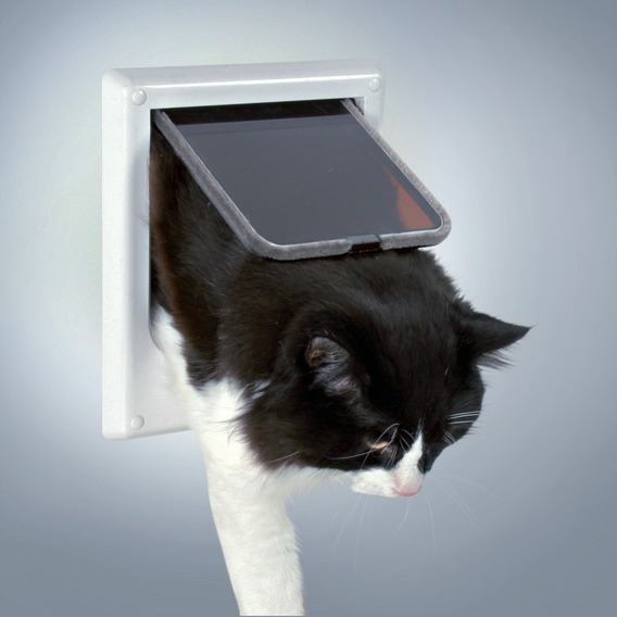 Cat flap, 4 ways, electromagnetic, white, Keeps out unwanted Cats Cat flap, 4 ways, electromagnetic, white, Keeps out unwanted Cats