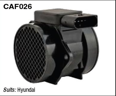 caf026.jpg