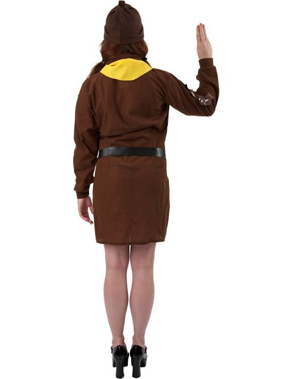 brownie fancy dress costume