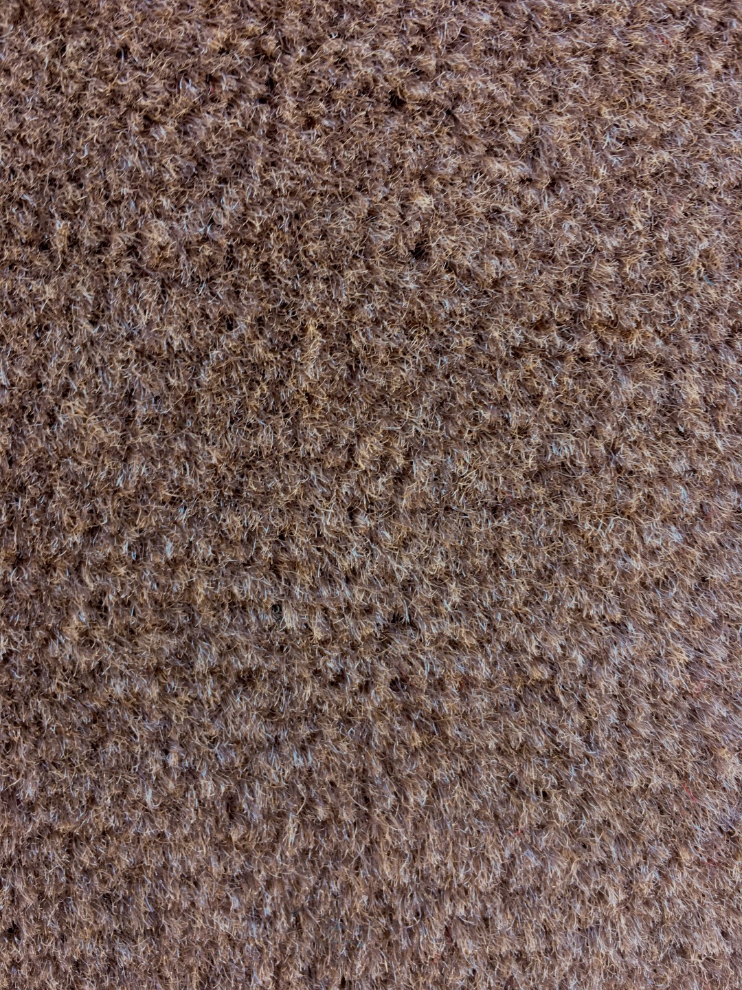boat carpet ebay aqua turf boat carpet sold by the yard ebay boat carpet ebay aqua turf boat carpet sold by the yard ebay