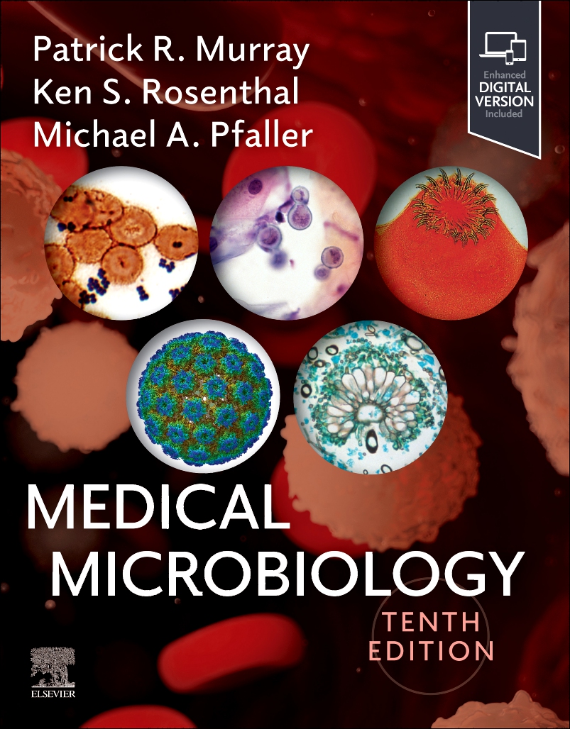 Medical Microbiology - Bild 1 von 1