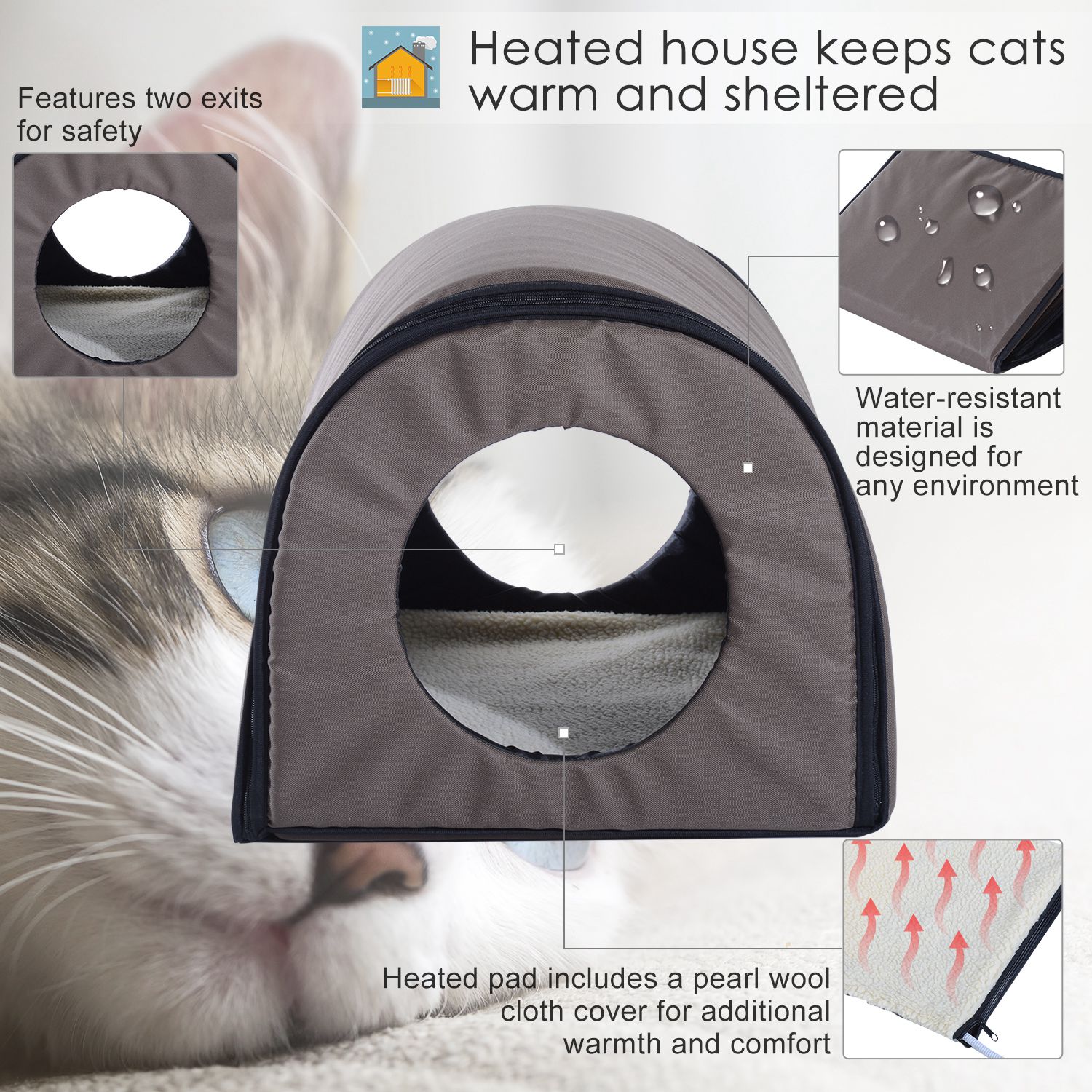 Heated Kitty Beds Photos All