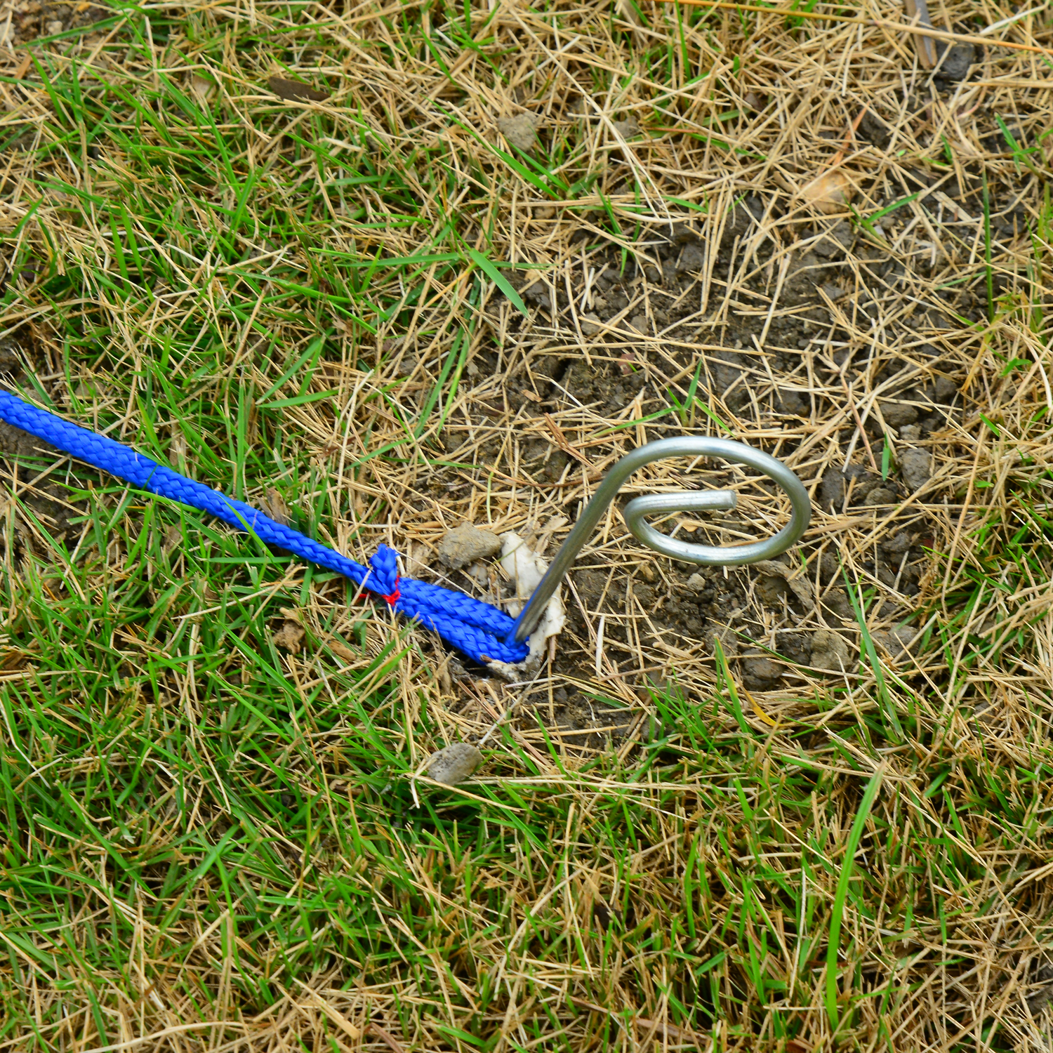 Pet Agility Set Training Play Kit Dog Jump Hoop Poles Tunnel Obedience