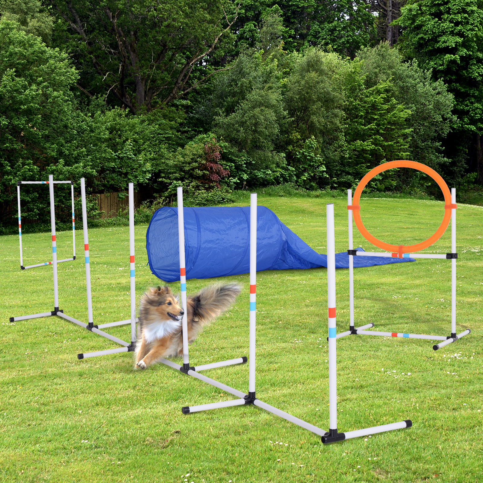 5Piece Suit Portable Pet Agility Training Set For Dogs Play Run Jump