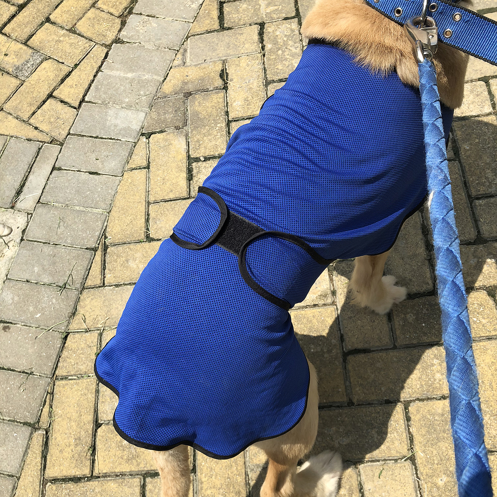 Cooling Vest Dogs Harness Cooling Coat Cooler Puppies Pet Adjustable