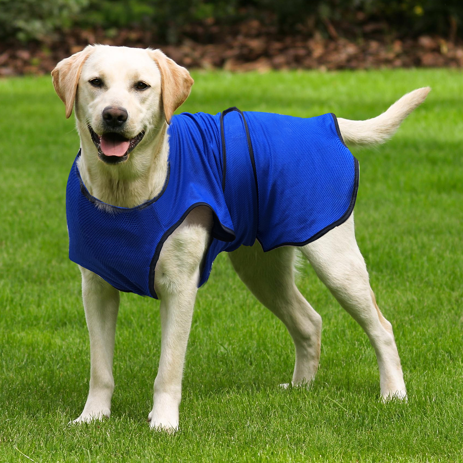 Cooling Vest Dogs Harness Cooling Coat Cooler Puppies Pet Adjustable