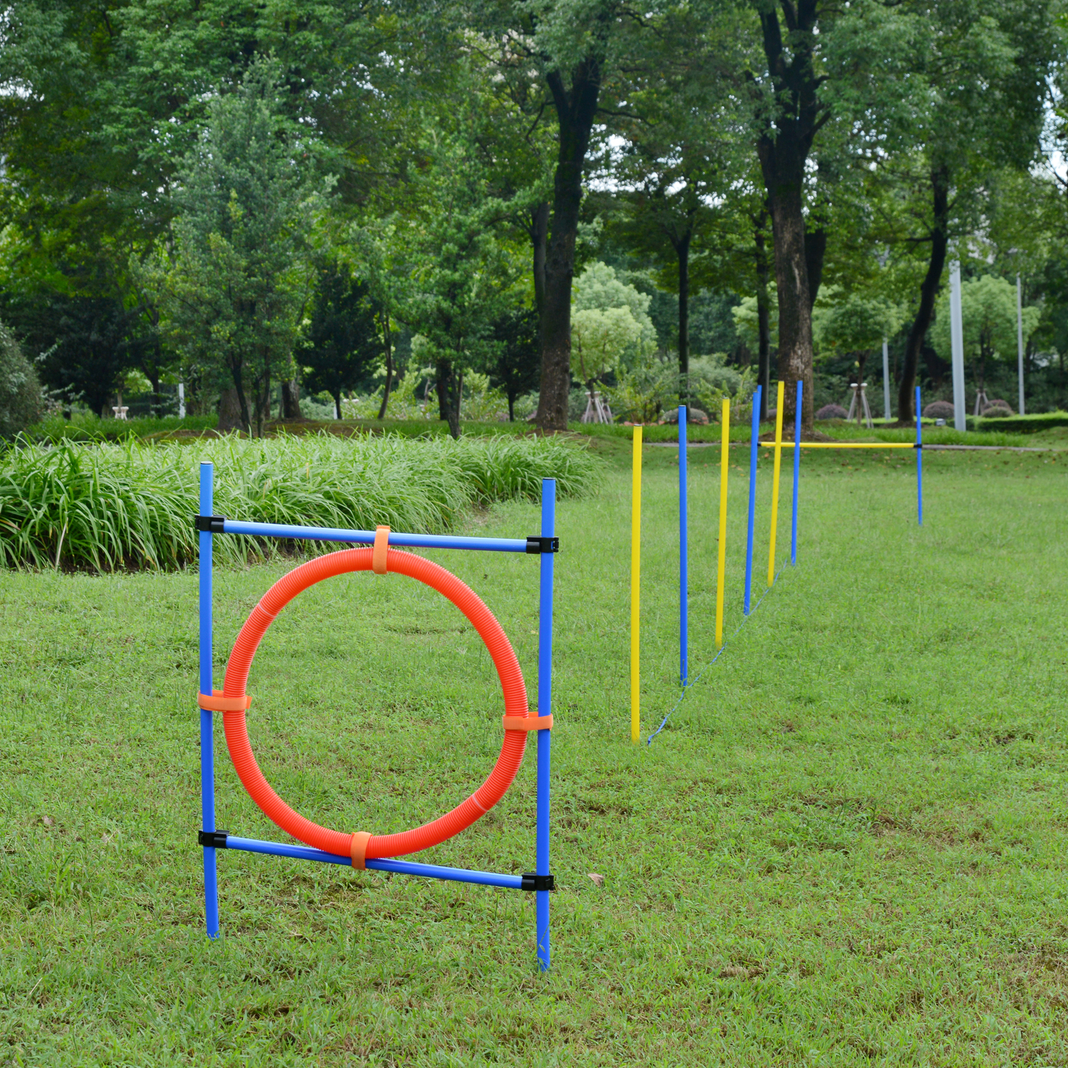 Pet Agility Set Training Play Kit Dog Jump Hoop Poles Tunnel Obedience