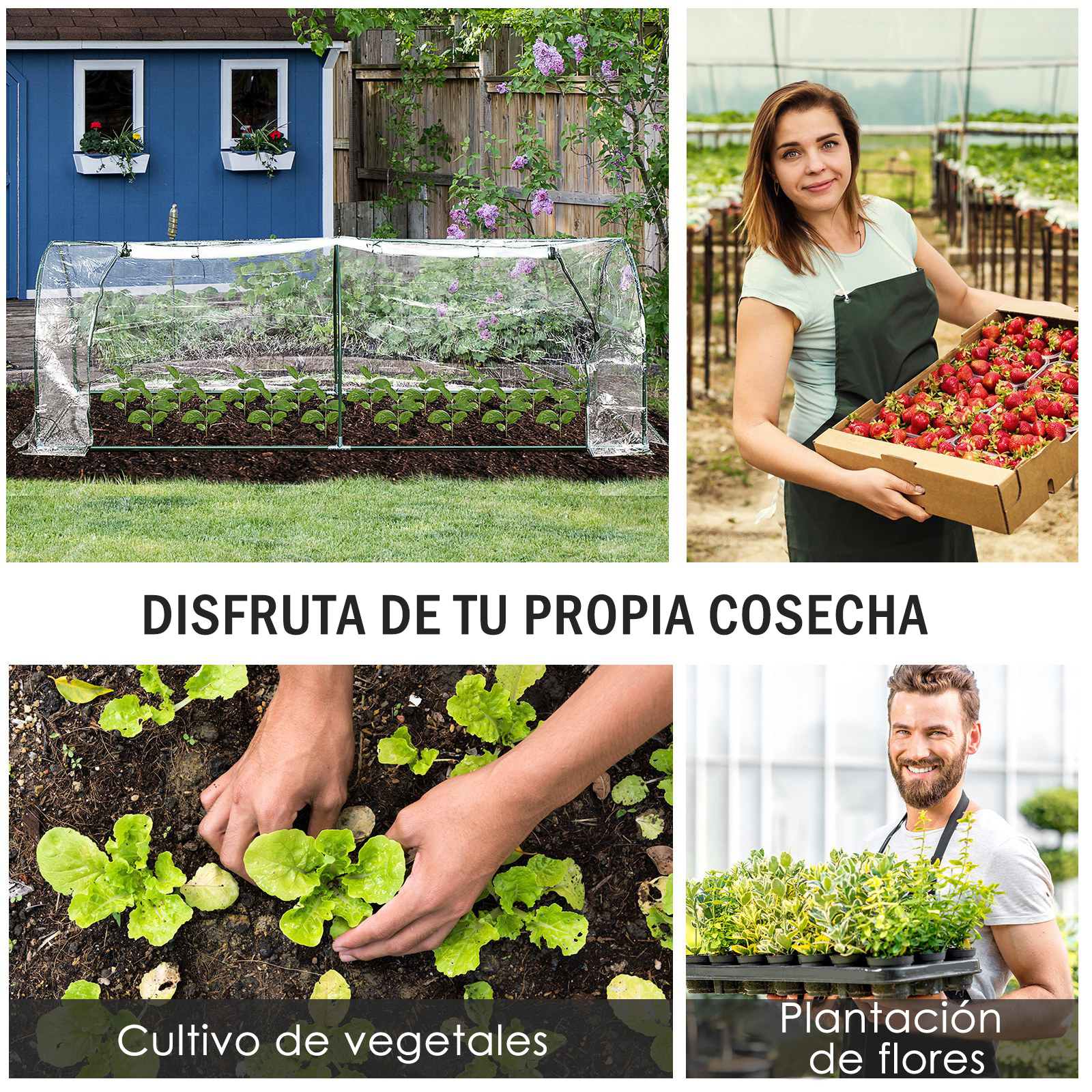 Invernadero Caseta para Jardín Terraza Cultivo de Planta Semilla 2