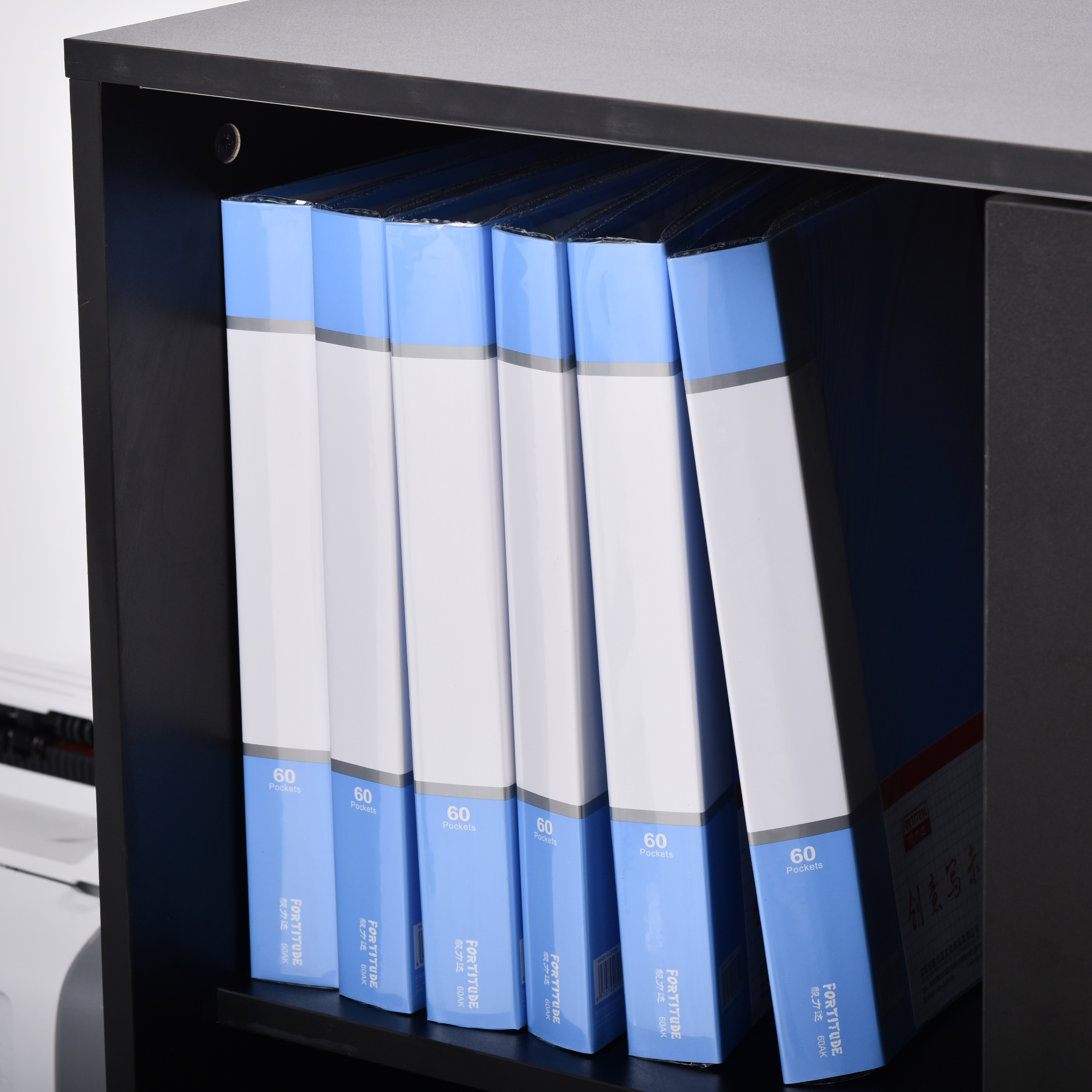 Aktenschrank Büroschrank Bürocontainer mit 3 Regal 2 Türenschränke