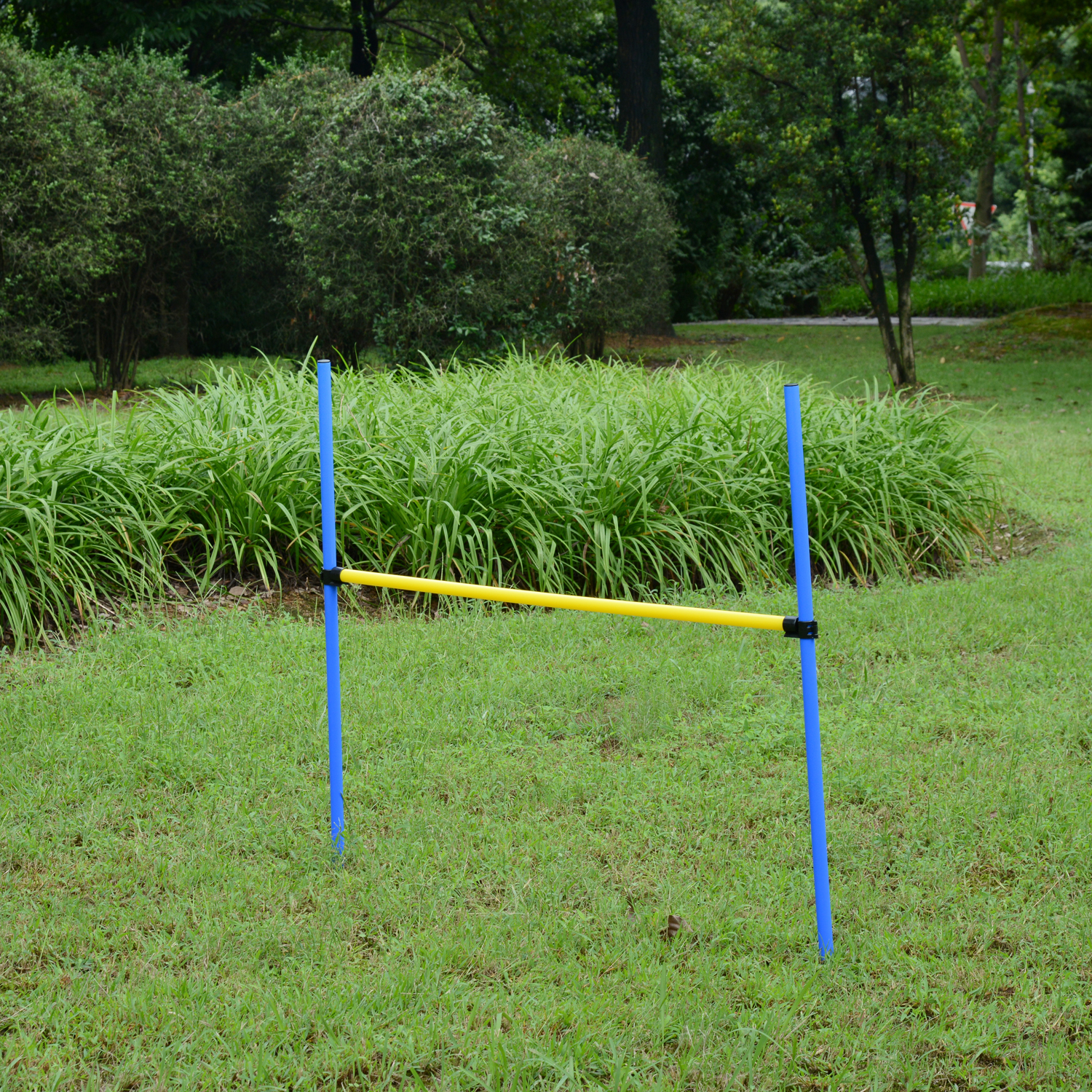 Dog Agility Set Outdoor Training Kit Starter Portable Obedience