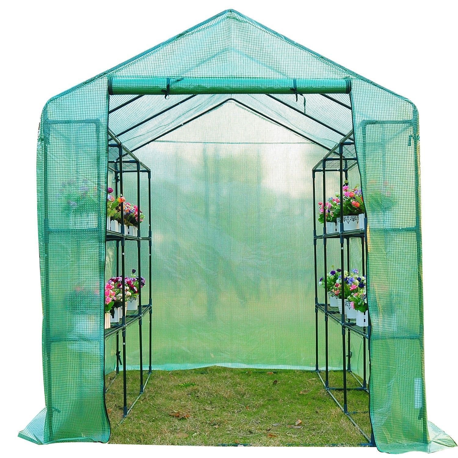 Polytunnel Greenhouse Poly Tunnel Steeple Green House With Shelves Steel Frame eBay