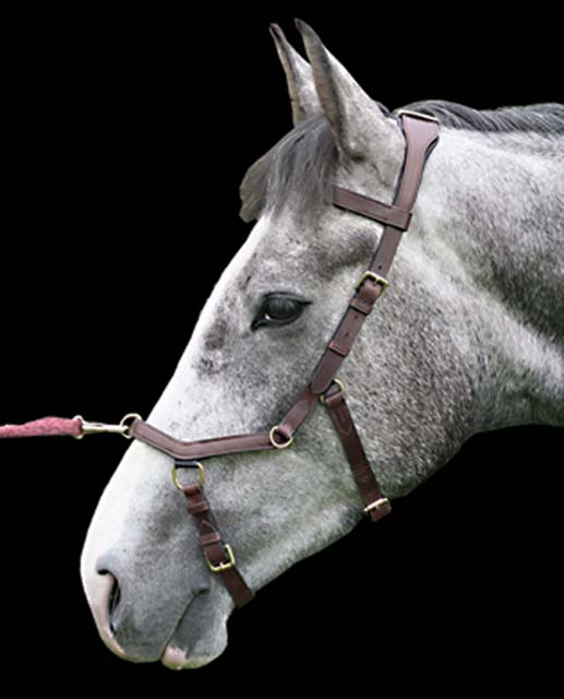 Rambo Micklem Multibridle Horse Bridles