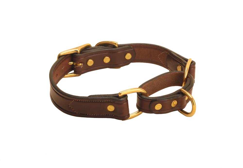 Tory Leather Martingale Correction Dog Collar