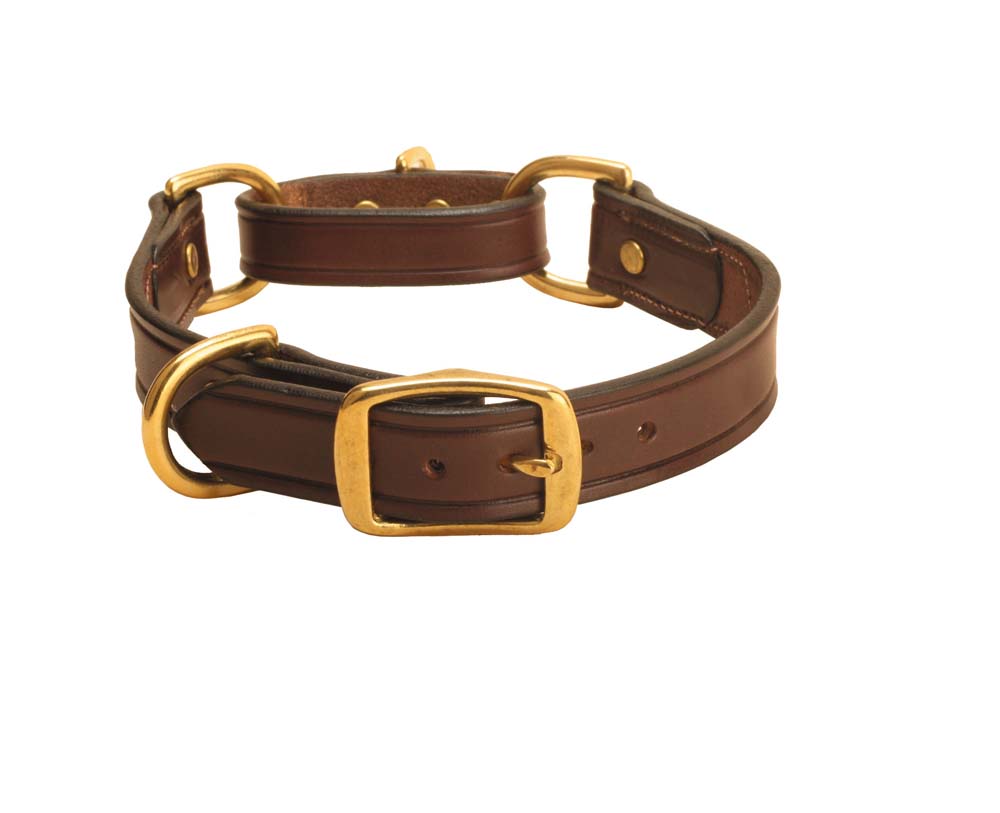 Tory Leather Martingale Correction Dog Collar