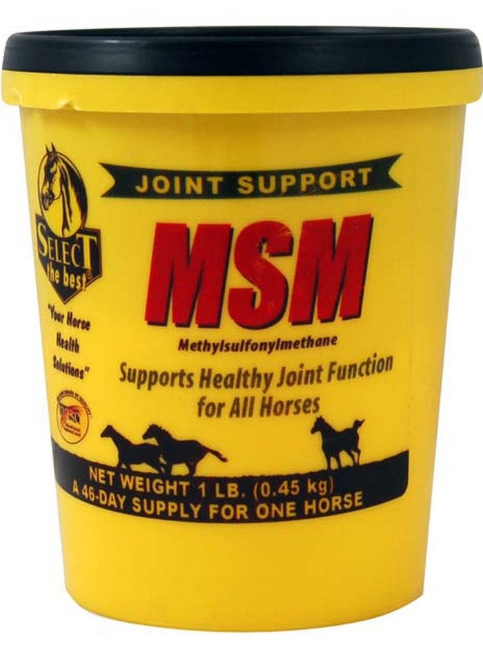 Select The Best MSM Horse Joint Supplements