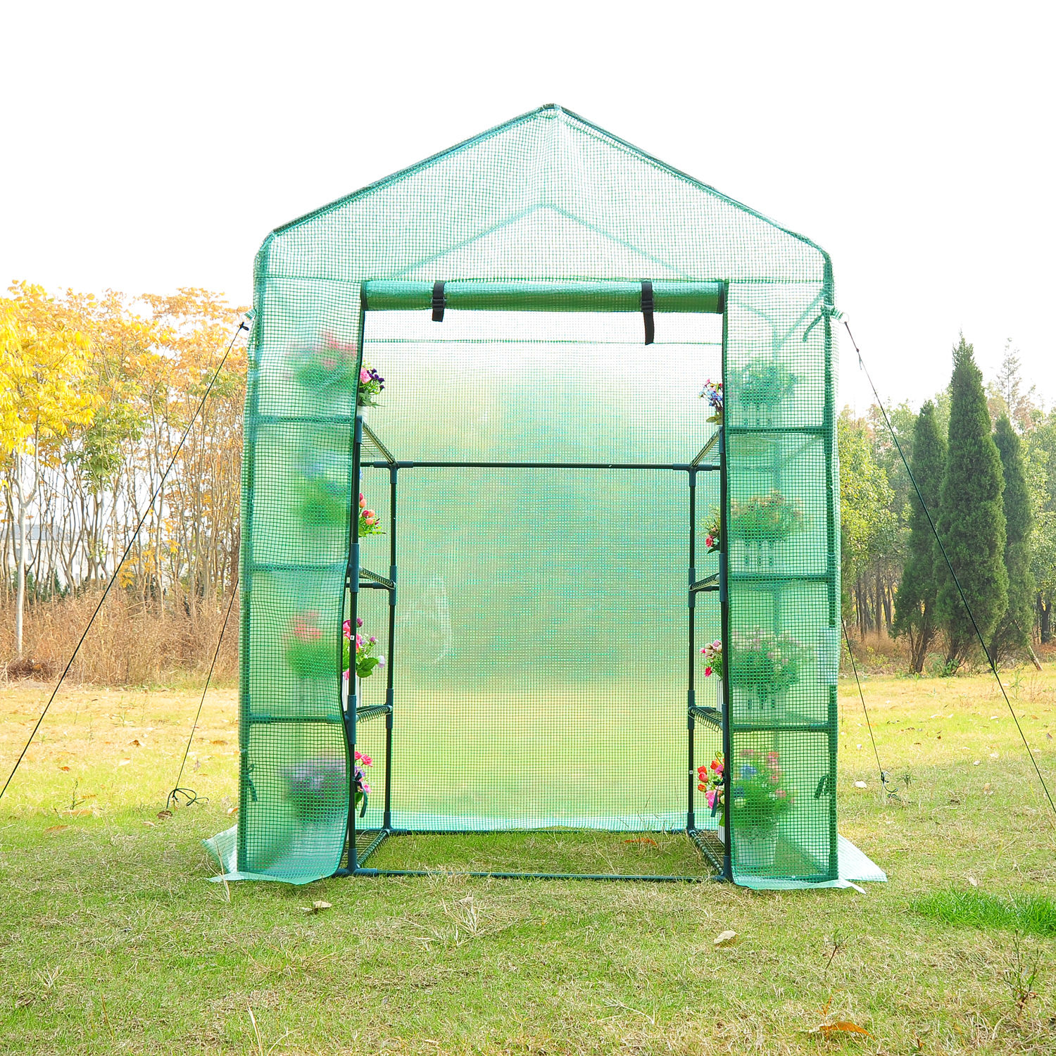 Polytunnel Greenhouse Poly Tunnel Steeple Green House With Shelves