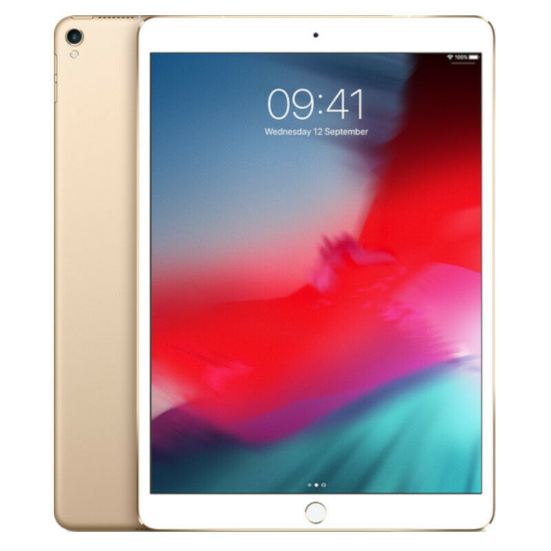 Apple iPad Pro 1st Gen. 512GB, Wi-Fi + 4G (Unlocked), 10.5 in 