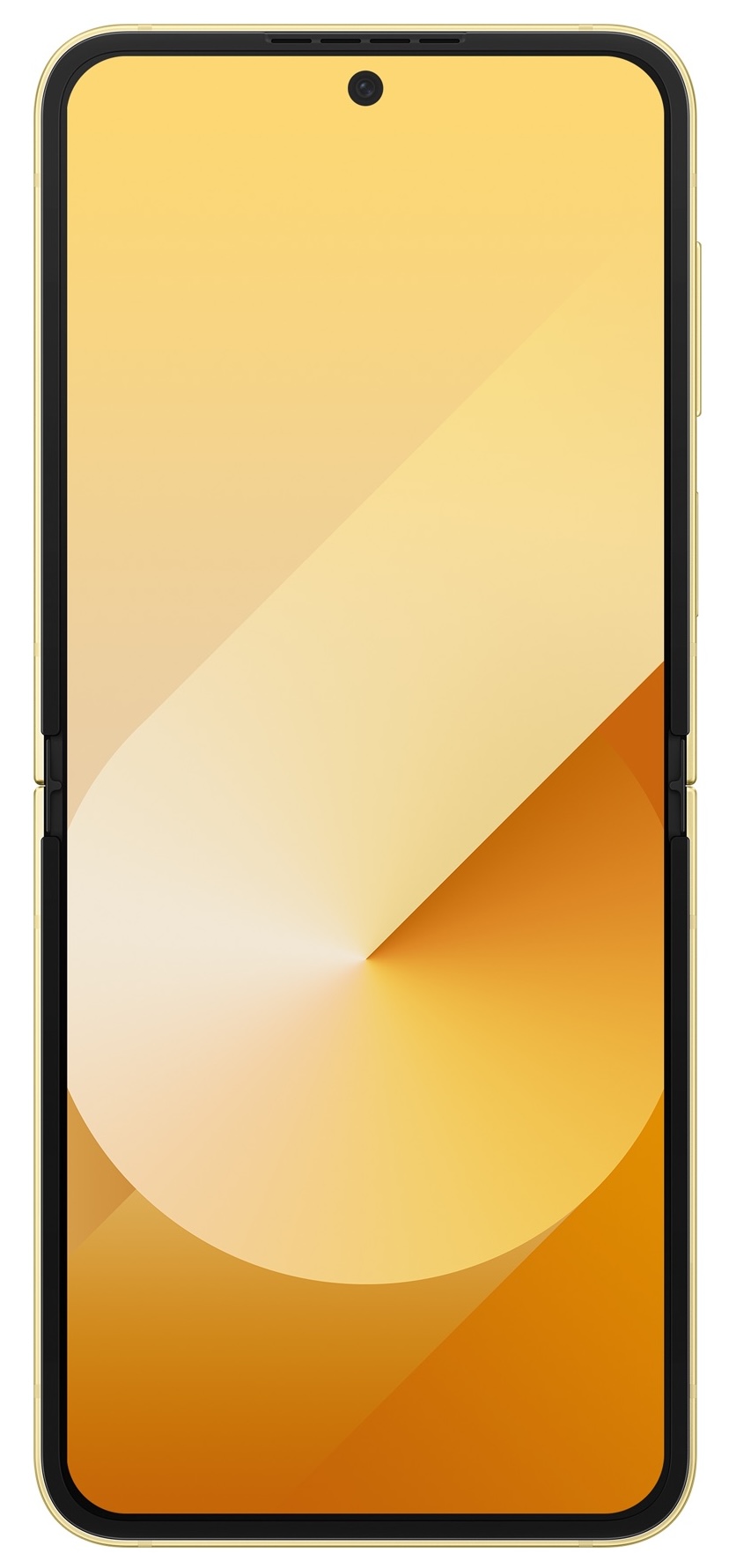 Bild 36 von 37