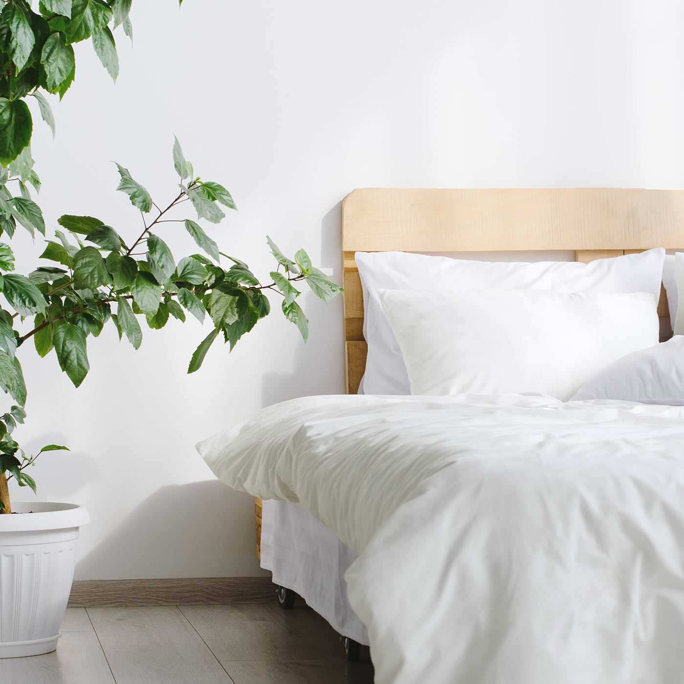 Mako Satin Uni Bettwäsche Set  und extra Kissenbezüge 200x200 155x220 135x200 - Bild 34 von 37