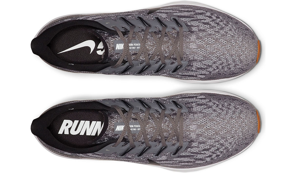 mens nike air pegasus 36