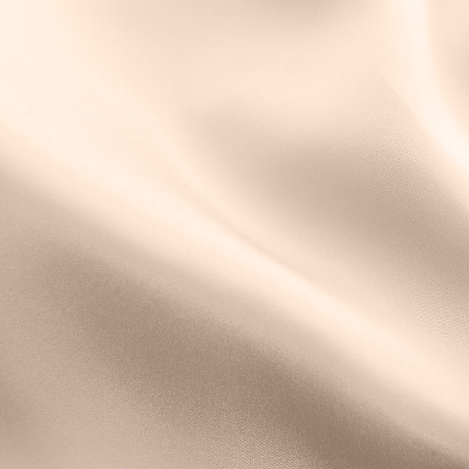 Royal Comfort Mulberry Soft Silk Luxurious Hypoallergenic Pillowcase Twin Pack - Picture 40 of 144