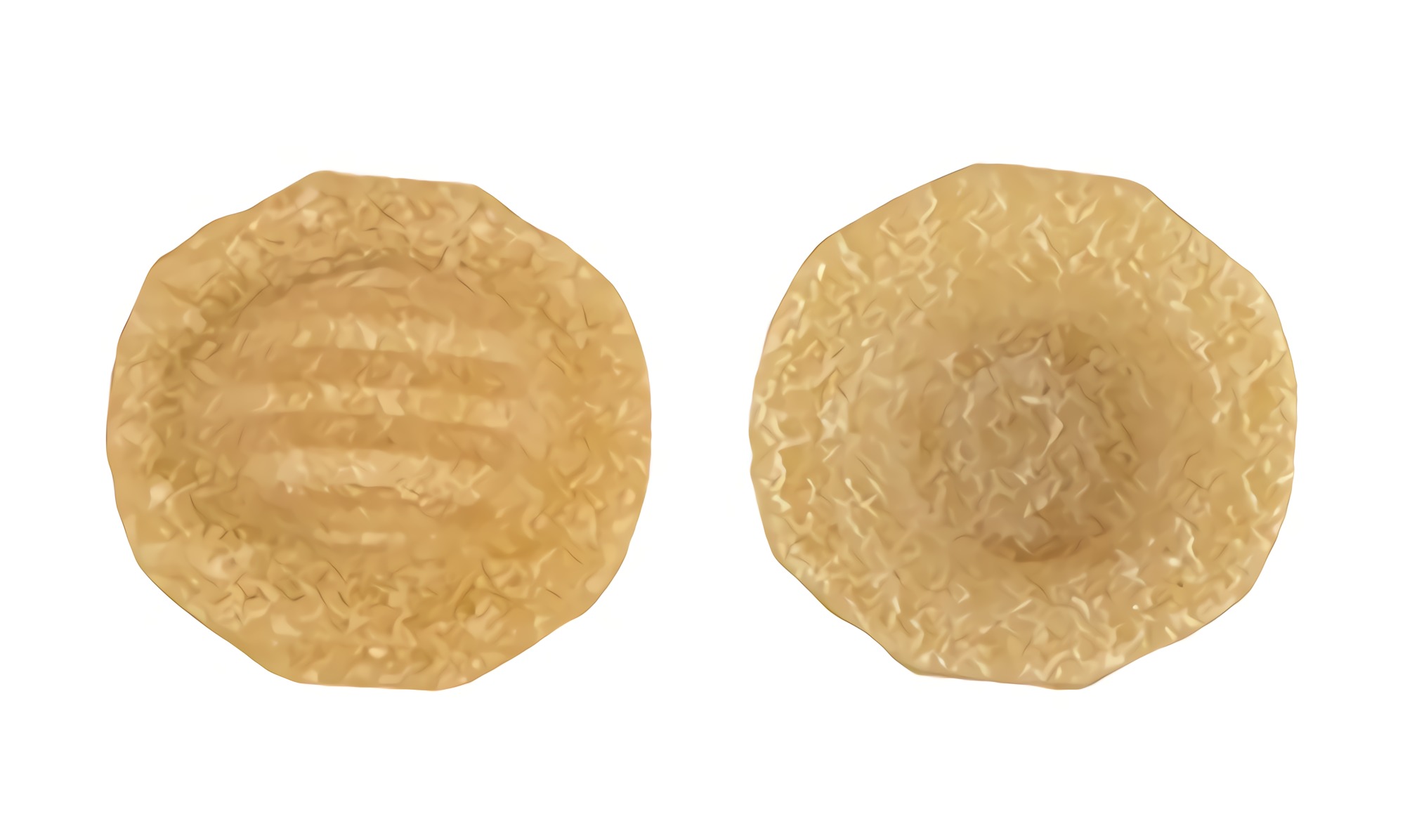 De Cecco Semolina Pasta, Orecchiette No.91, 1 Pound (Pack of 5) 4