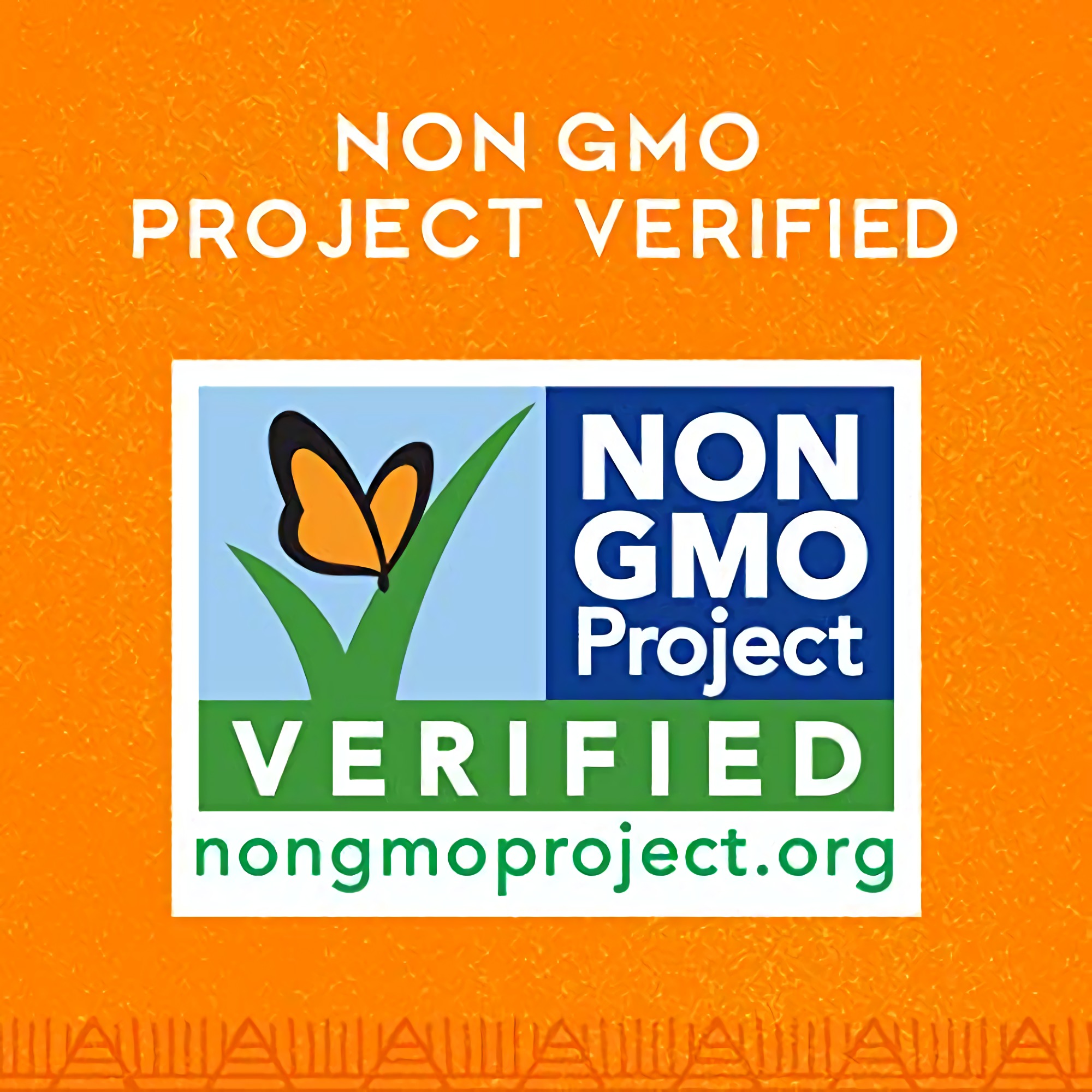 Late July Snacks Clasico Nacho Chipotle Tortilla Chips, 2 Ounce (Pack Of 6) 5