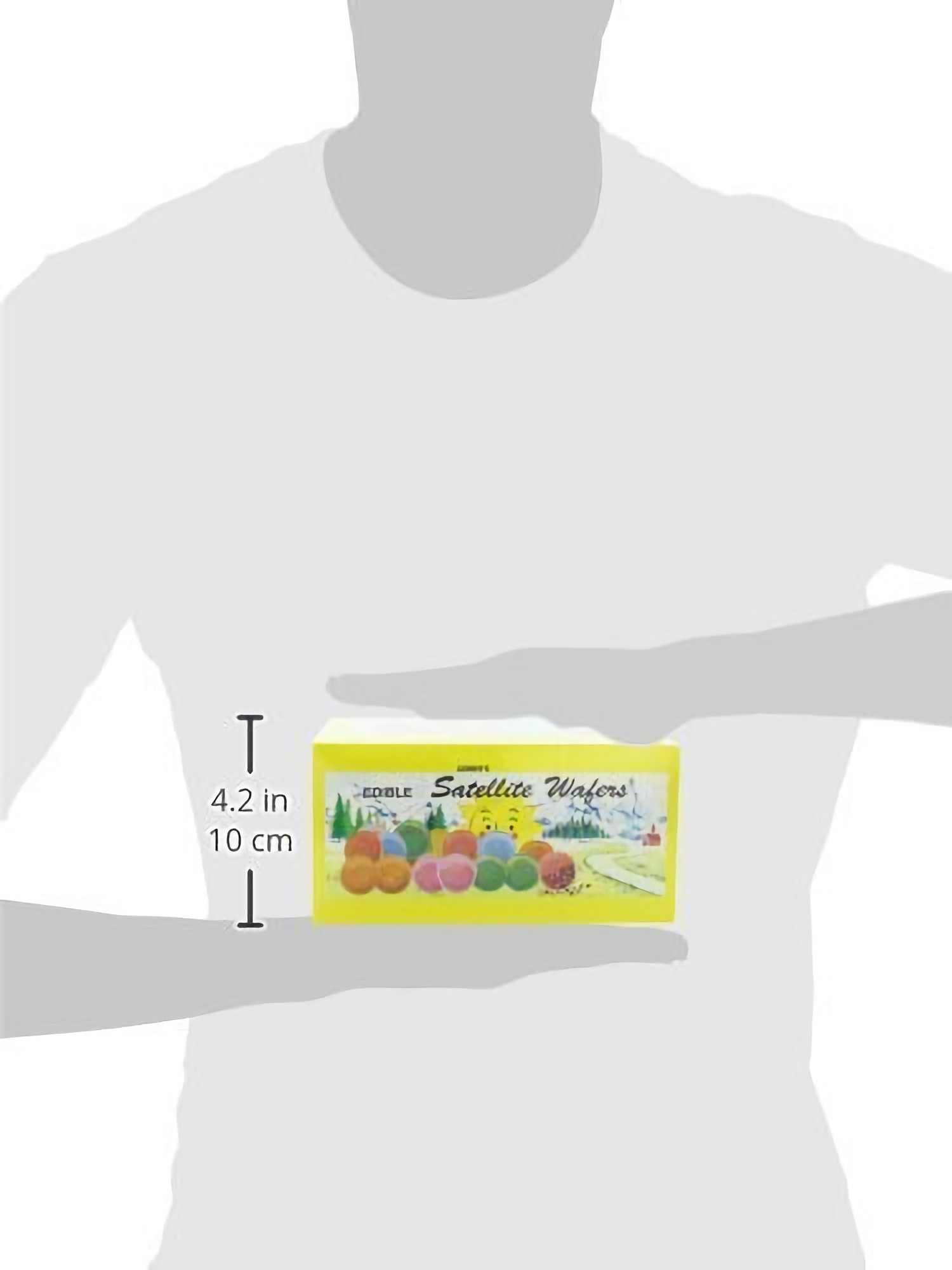 Gerrit's Satellite Wafers, Filled with Assorted Candy Beads, 10.5 Oz. 240-Count Boxes (Pack of 2) 5