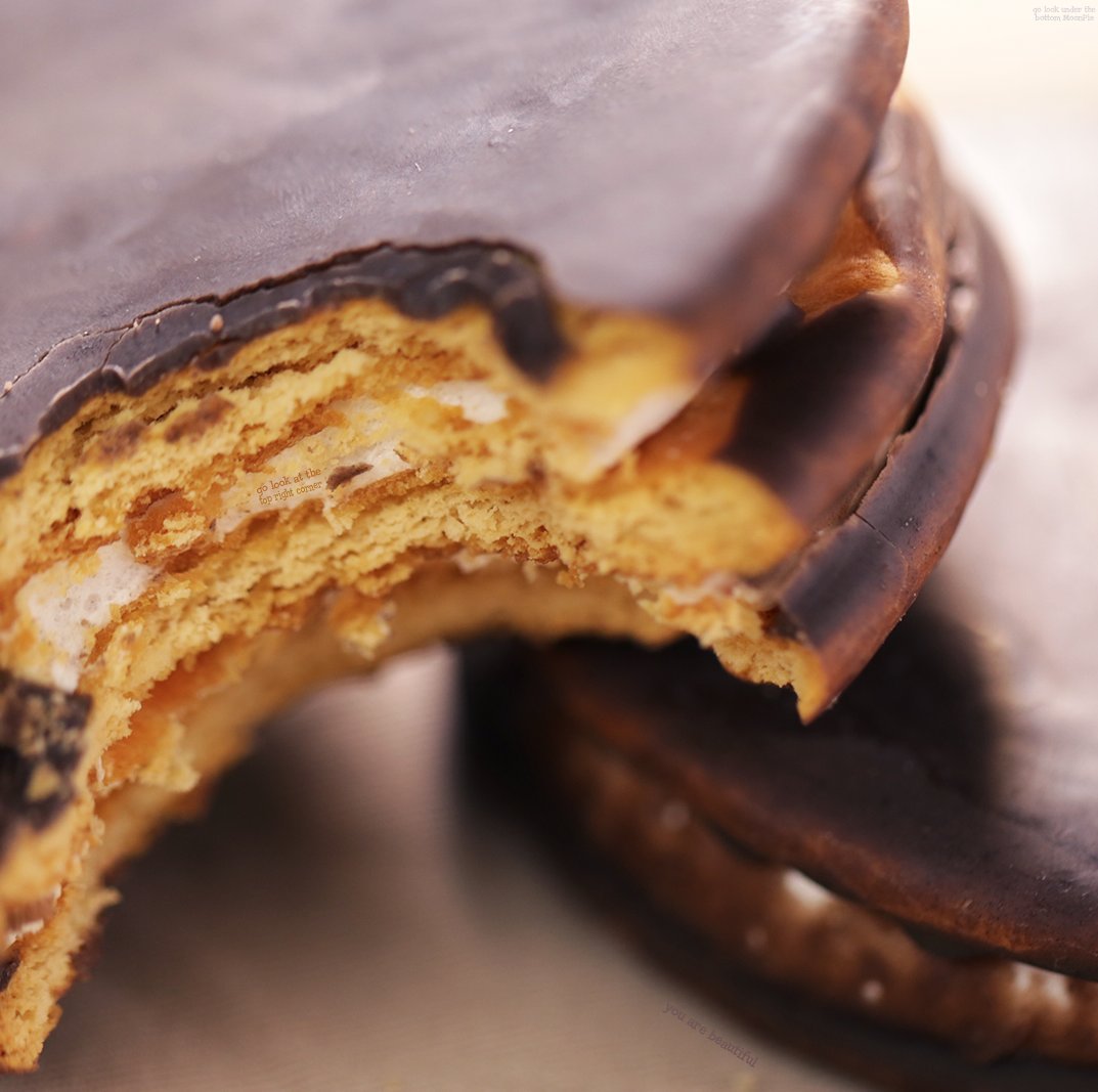 Moon Pie Single Decker Chocolate Marshmallow Sandwich -(96Count Total) | Chocolate Covered Graham Cracker & Marshmallow | 8 Boxes 4