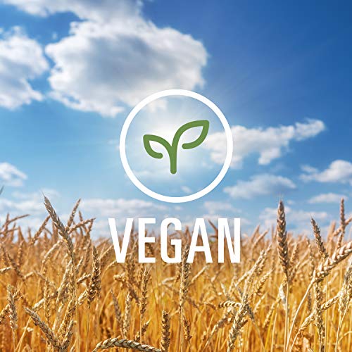 Dreamfields Healthy Pasta Living Rotini, 13.25-Ounce Boxes (Pack of 12) 6